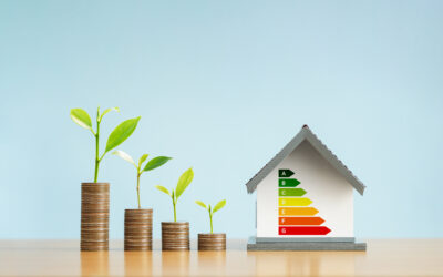 Maximizing the Energy Efficiency of Your Home
